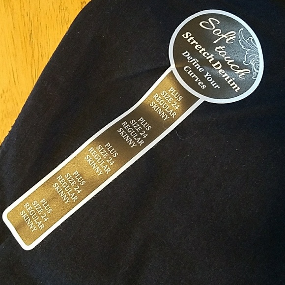 Plus Size Skinny Jeans Rhythm in Blues Stretch Denim Jeans - Picture 8 of 8